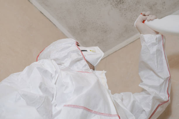 Best Home Mold Removal  in Ramsey, NJ