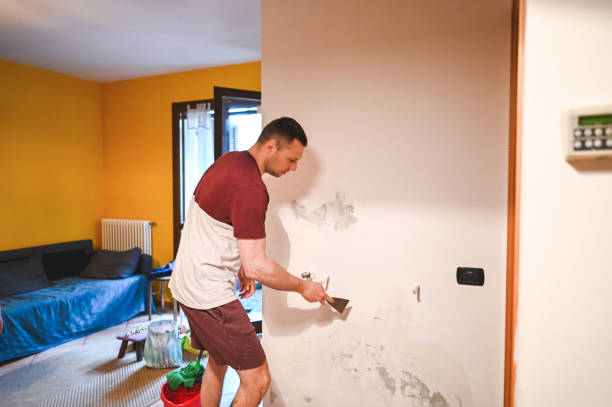 Best Professional Mold Removal  in Ramsey, NJ