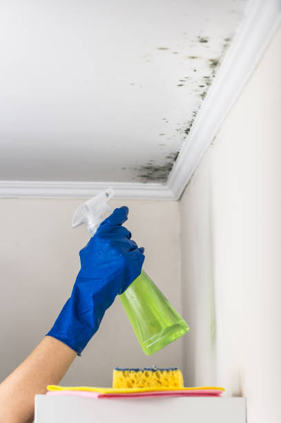 Crawl Space Mold Removal in Ramsey, NJ