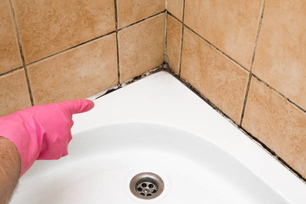 Best Office Mold Removal Services  in Ramsey, NJ